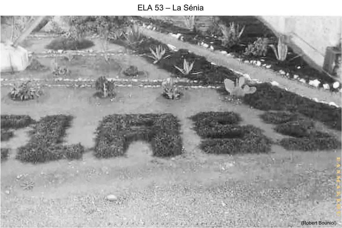 174- ARMEE DE L'AIR EN ALGERIE 1945-1962-22 (3).jpg